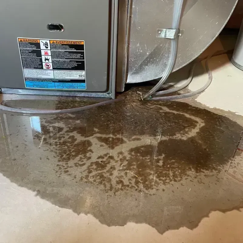 Appliance Leak Cleanup in Windsor Heights, IA